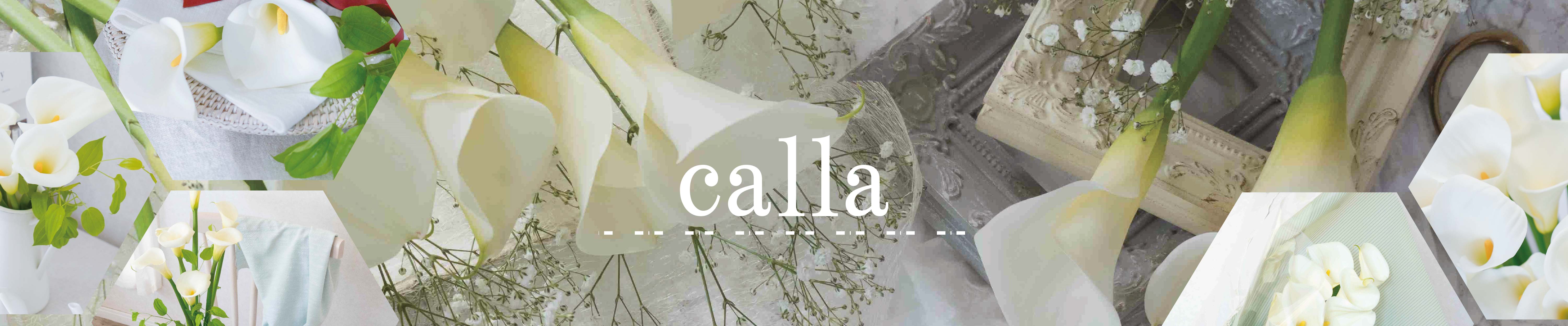 pc.calla1.jpg