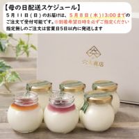 【無添加】北の白いプリン「サルルン」（６個入り）